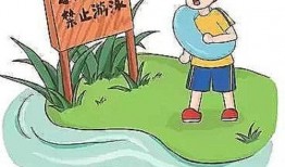 最新爆料石家庄事件真相,真相背后的惊心动魄